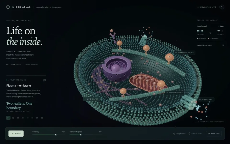 Still from Living Cell